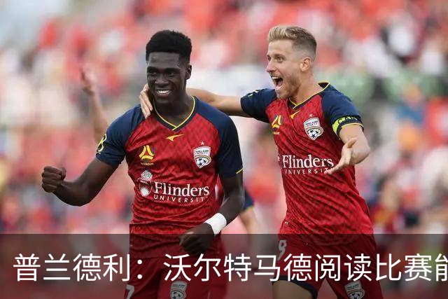 普兰德利：沃尔特马德阅读比赛能力很强，他会让人想起年轻的伊布
